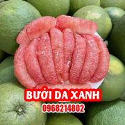 Mua Cây Bưởi Da Xanh Ở Đâu Và Bao Nhiêu Tiền 1 Cây Giống